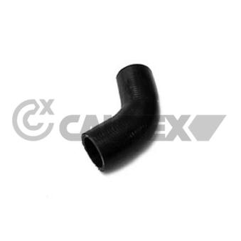 Durite de radiateur CAUTEX 086251