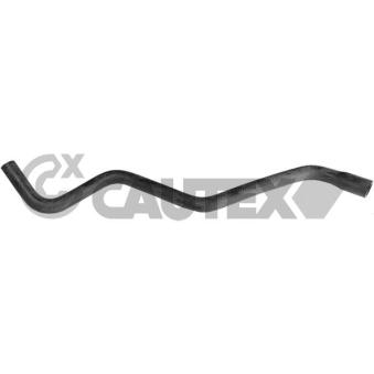 Durite de radiateur CAUTEX 086413