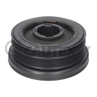 Poulie, vilebrequin CAUTEX 180905 pour INFINITI FY33 3.0d - 218cv