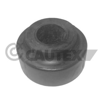 Suspension, stabilisateur CAUTEX 180929 pour RENAULT EXPRESS E Evolution II 2.5 - 235cv