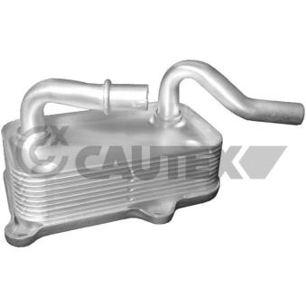 Radiateur d'huile CAUTEX OEM 1121880401