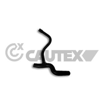 Durite de radiateur CAUTEX 186034