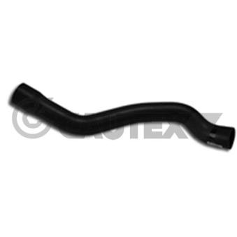 Durite de radiateur CAUTEX 186051