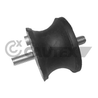 Suspension, boîte de vitesse manuelle CAUTEX OEM 22311094916