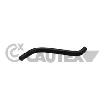 Durite de radiateur CAUTEX 216005