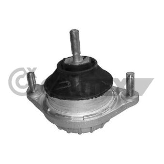 Support moteur avant gauche CAUTEX OEM 8A0199379E