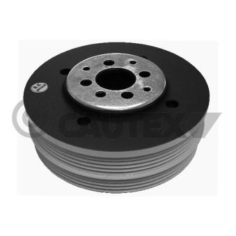 Poulie, vilebrequin CAUTEX 460954