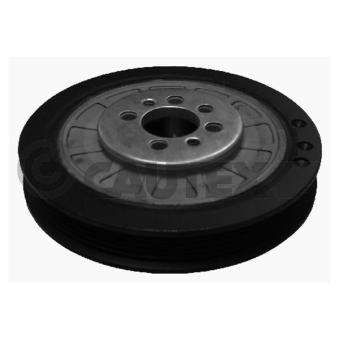 Poulie, vilebrequin CAUTEX OEM 028105243AC Poulie, vilebrequin CAUTEX OEM 028105243AC