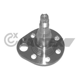 Moyeu de roue arrière gauche CAUTEX 461009