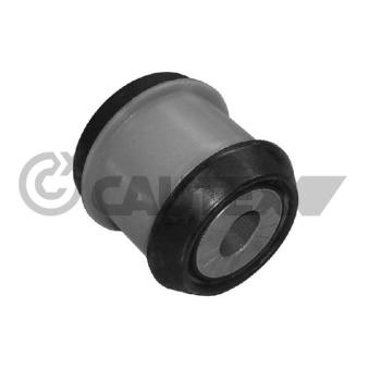 Support moteur CAUTEX [461066]