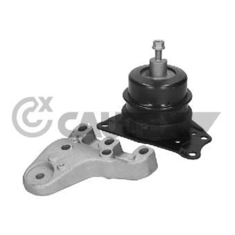 Support moteur CAUTEX OEM 6Q0199167DB