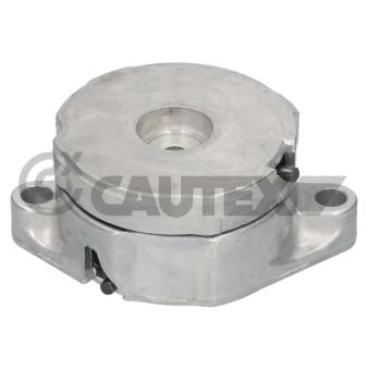 Tendeur de courroie, courroie trapézoïdale à nervures CAUTEX OEM 1039808 Tendeur de courroie, courroie trapézoïdale à nervures CAUTEX OEM 1039808