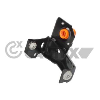 Suspension, support de boîte de vitesse manuelle CAUTEX 462413 Suspension, support de boîte de vitesse manuelle CAUTEX 462413