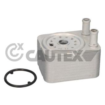 Radiateur d'huile CAUTEX OEM 038117021A
