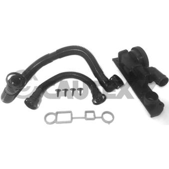 Soupape, dégazage du carter CAUTEX OEM N10412804