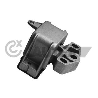 Support moteur CAUTEX OEM 7M3199555P Support moteur CAUTEX OEM 7M3199555P