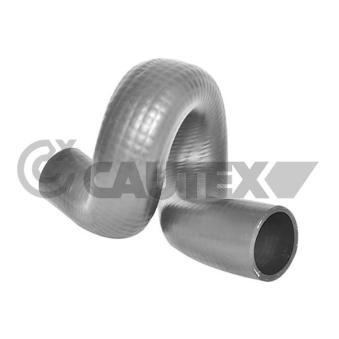 Durite de radiateur CAUTEX OEM 1337138