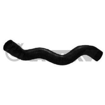 Durite de radiateur CAUTEX OEM 1337886