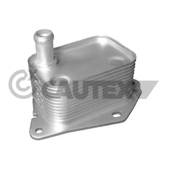 Radiateur d'huile CAUTEX OEM 264102A501