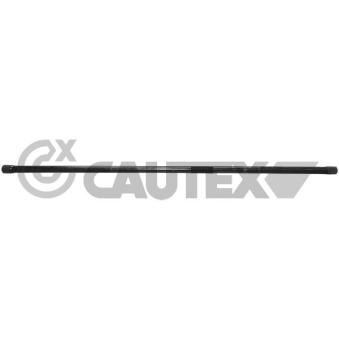 Goujon fileté, barre de torsion arrière gauche CAUTEX [750105]