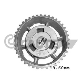 Pignon, pompe d'injection CAUTEX OEM 8200046741