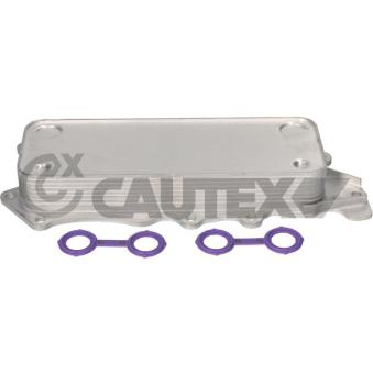 Radiateur d'huile CAUTEX OEM A6421800165 Radiateur d'huile CAUTEX OEM A6421800165