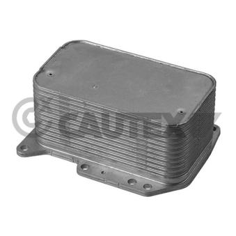 Radiateur d'huile CAUTEX OEM 8201005241
