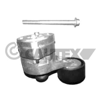 Tendeur, courroie trapézoïdale à nervures CAUTEX OEM 1385379