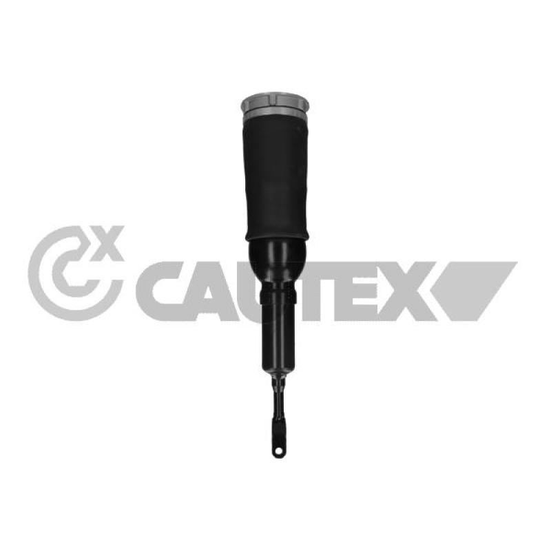 Armortisseur pneumatique CAUTEX 751961 - Visuel 2
