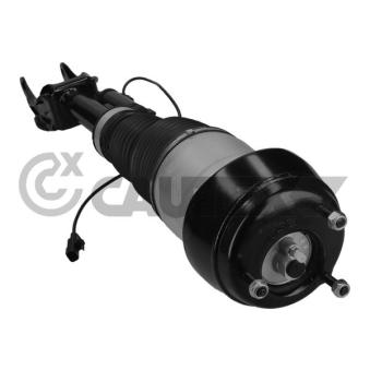 Armortisseur pneumatique avant gauche CAUTEX OEM 1663205166 Armortisseur pneumatique avant gauche CAUTEX OEM 1663205166