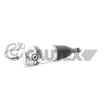 Armortisseur pneumatique arrière gauche CAUTEX 752124 pour PORSCHE CAYENNE S 4.8 - 400cv
