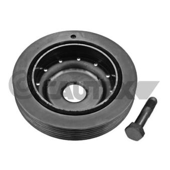 Kit de poulies, vilebrequin CAUTEX OEM 8200544135