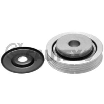 Poulie renvoi/transmission, courroie trapézoïdale à nervures CAUTEX OEM 4916082A00