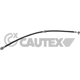 Flexible de frein avant droit CAUTEX OEM 462106733R
