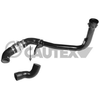 Gaine de suralimentation CAUTEX OEM 1606660380