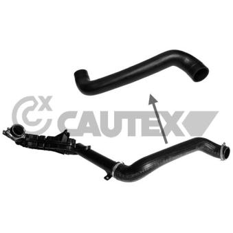 Gaine de suralimentation CAUTEX OEM 1490848 Gaine de suralimentation CAUTEX OEM 1490848