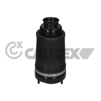 Ressort pneumatique, châssis CAUTEX OEM 1643204613