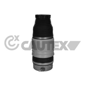 Ressort pneumatique, châssis avant droit CAUTEX OEM 7L8616404B