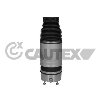 Ressort pneumatique, châssis CAUTEX OEM 7L5616503F