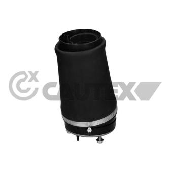 Ressort pneumatique, châssis avant droit CAUTEX OEM RNB500540