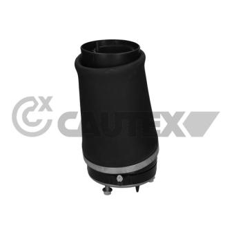 Ressort pneumatique, châssis avant gauche CAUTEX OEM RNB500550