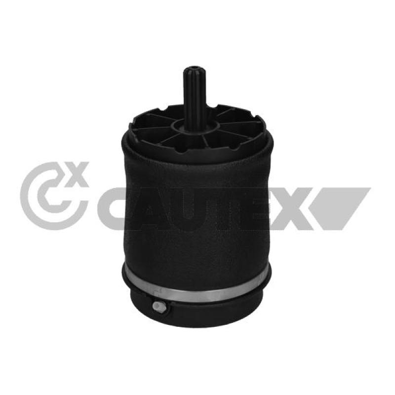 Ressort pneumatique, châssis CAUTEX 753021 - Visuel 1