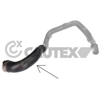 Gaine de suralimentation CAUTEX OEM 95519172