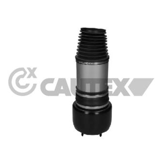 Ressort pneumatique, châssis CAUTEX 753053