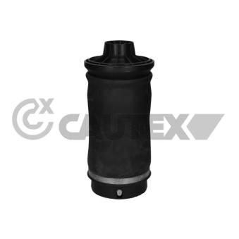 Ressort pneumatique, châssis CAUTEX OEM A1643200825