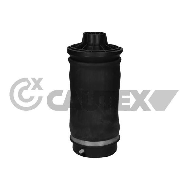 Ressort pneumatique, châssis CAUTEX 753068 - Visuel 1