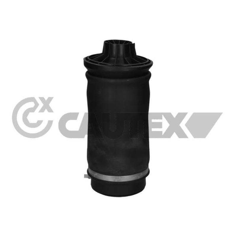 Ressort pneumatique, châssis CAUTEX 753068 - Visuel 2
