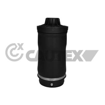 Ressort pneumatique, châssis CAUTEX OEM A2513200425