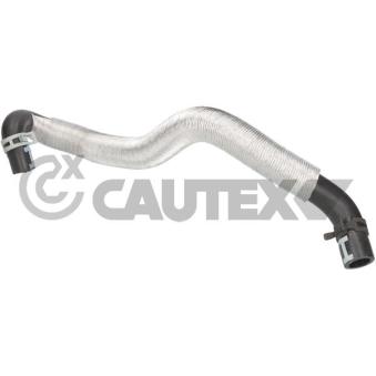 Durite de radiateur CAUTEX OEM 1458053