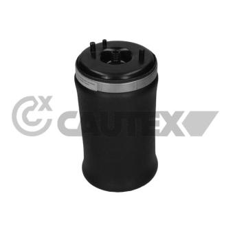 Ressort pneumatique, châssis arrière droit CAUTEX OEM 37126750356